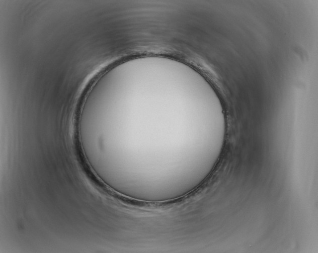 X0000114000012200910021040