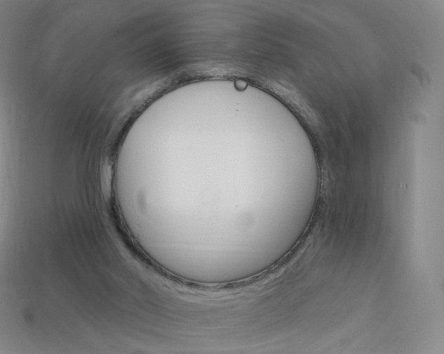 X0000114000014200910021040