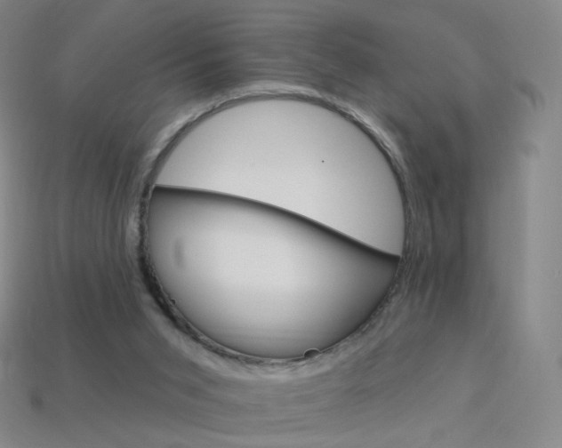 X0000114000015200910021040