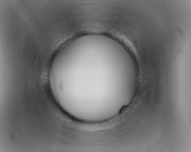 X0000114000017200910021040