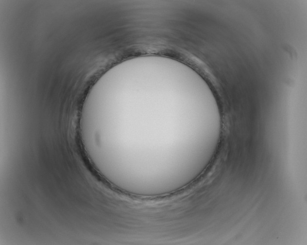X0000114000018200910021040