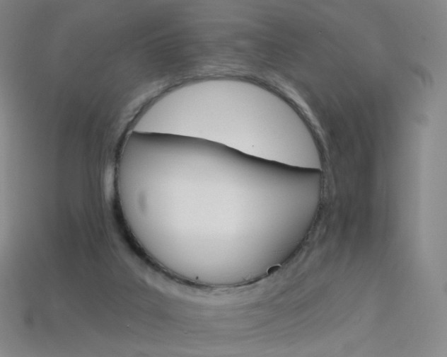 X0000114000019200910021040