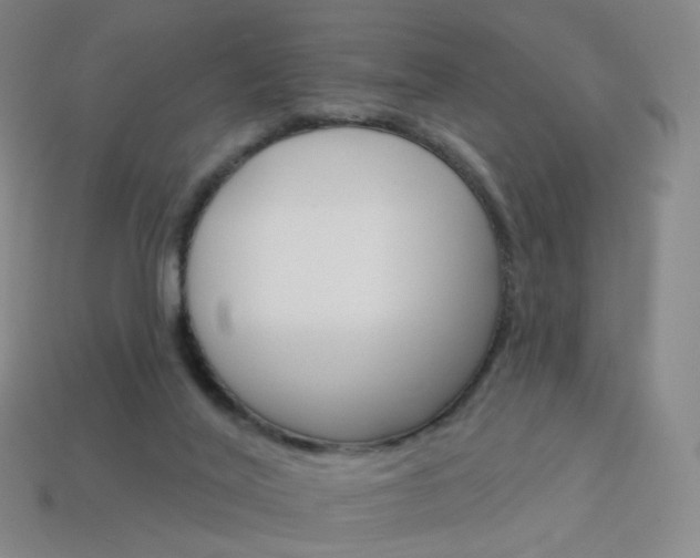 X0000114000020200910021040