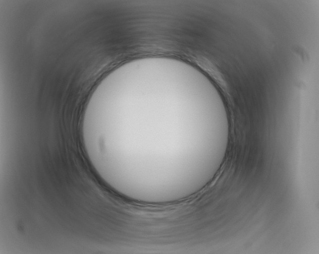 X0000114000021200910021040