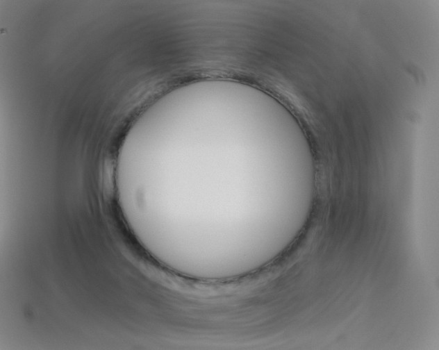 X0000114000022200910021040