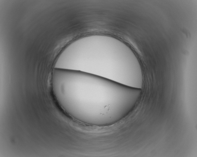 X0000114000023200910021040