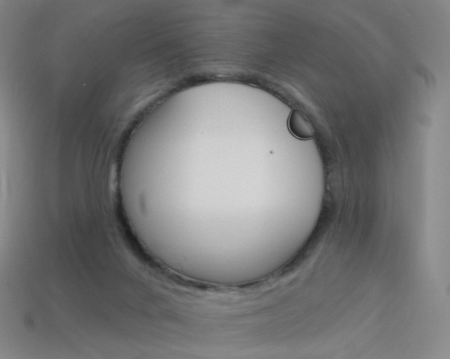 X0000114000024200910021040