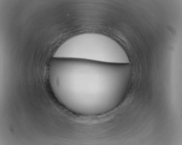 X0000114000029200910021040