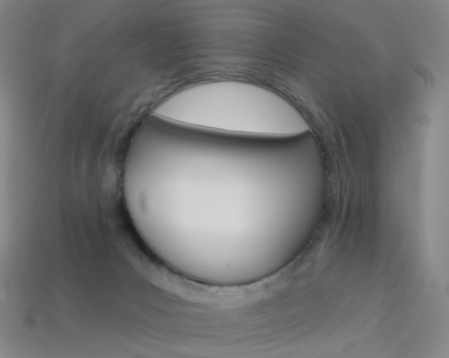 X0000114000031200910021040