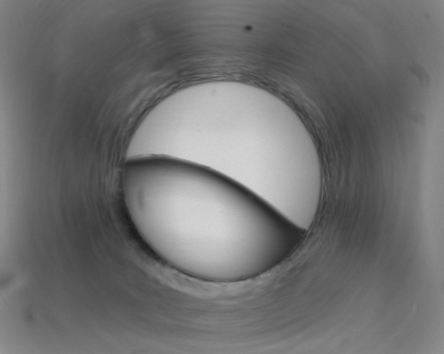 X0000114000035200910021040