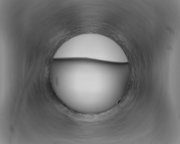 X0000114000037200910021040