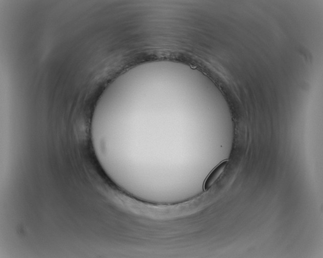 X0000114000039200910021040