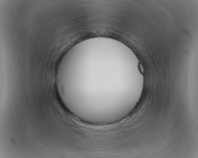 X0000114000040200910021040