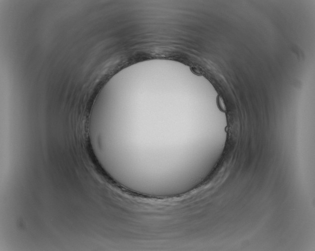 X0000114000044200910021040