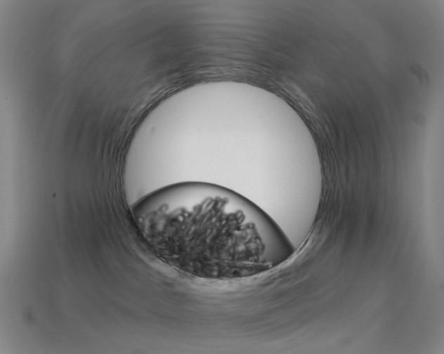 X0000114000045200910021040