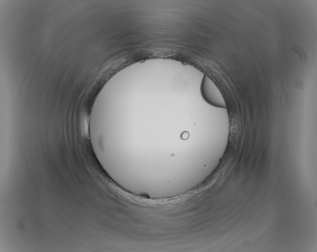 X0000114000046200910021040