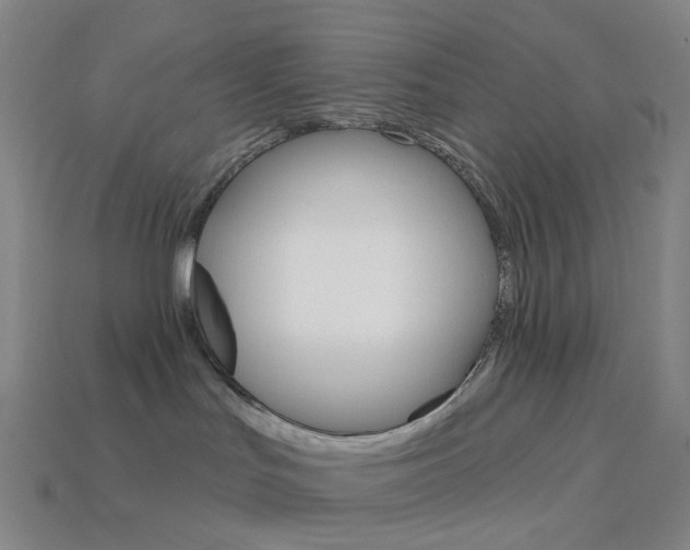 X0000114000047200910021040