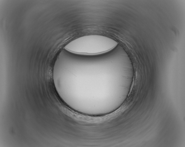 X0000114000048200910021040