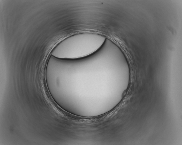 X0000114000049200910021039