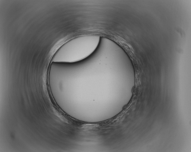 X0000114000051200910021039