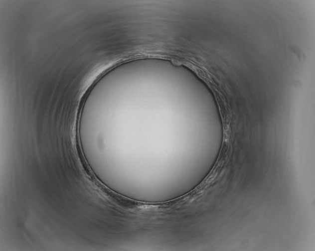 X0000114000052200910021039