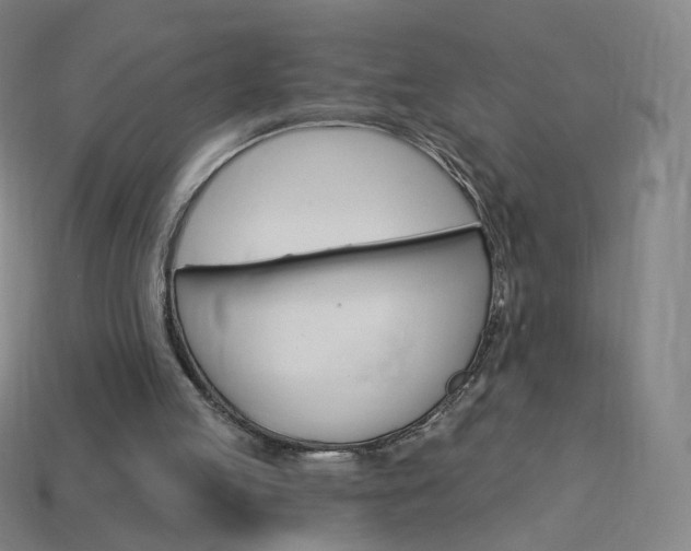 X0000114000053200910021039