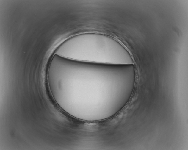 X0000114000055200910021039