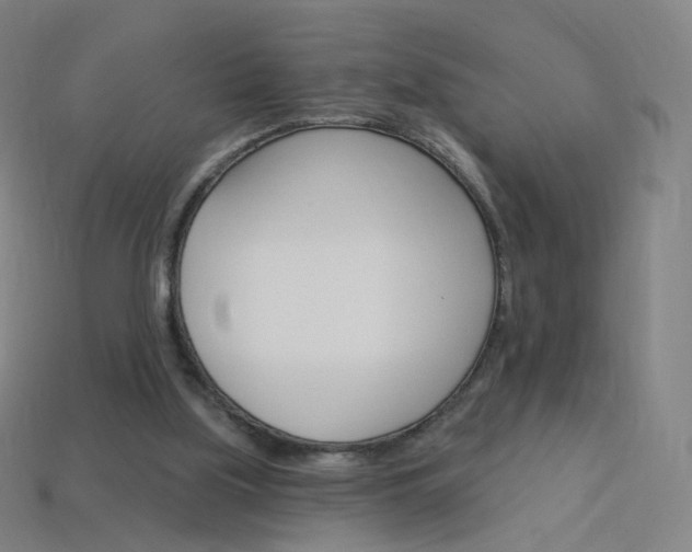 X0000114000059200910021039