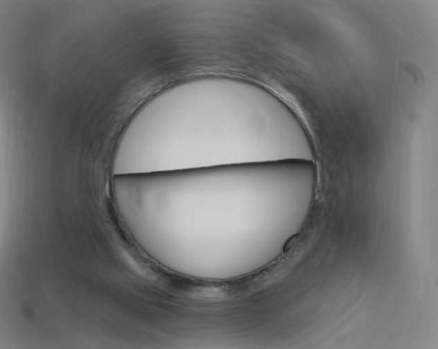 X0000114000061200910021039