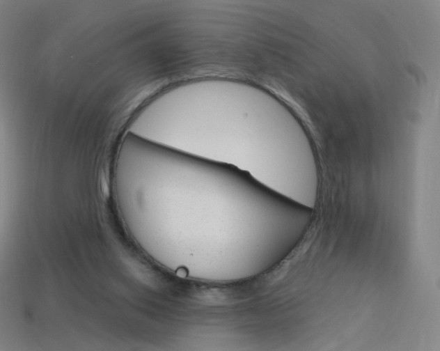 X0000114000062200910021039