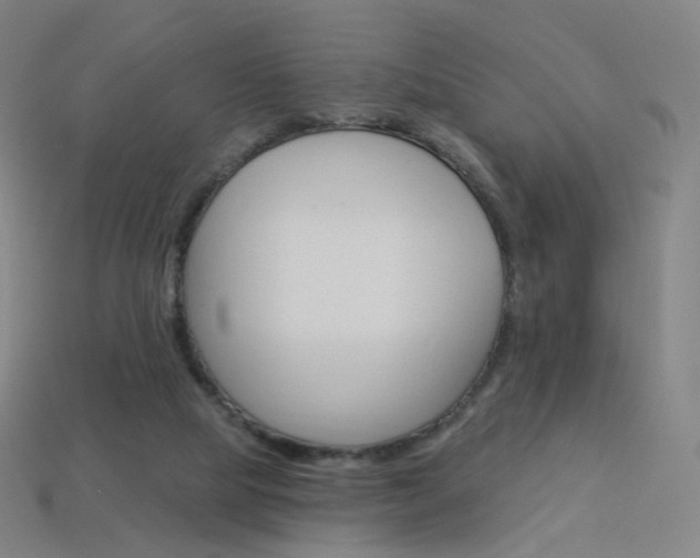 X0000114000065200910021039