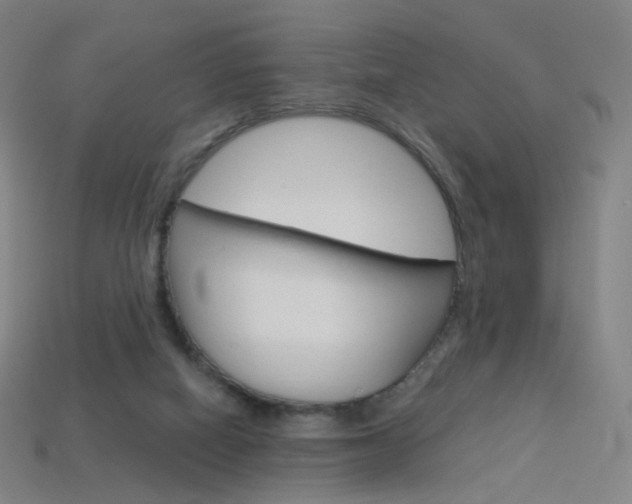 X0000114000066200910021039