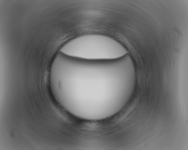 X0000114000071200910021039