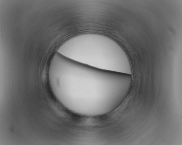 X0000114000074200910021039