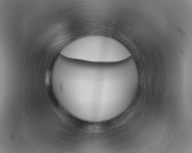 X0000114000075200910021039