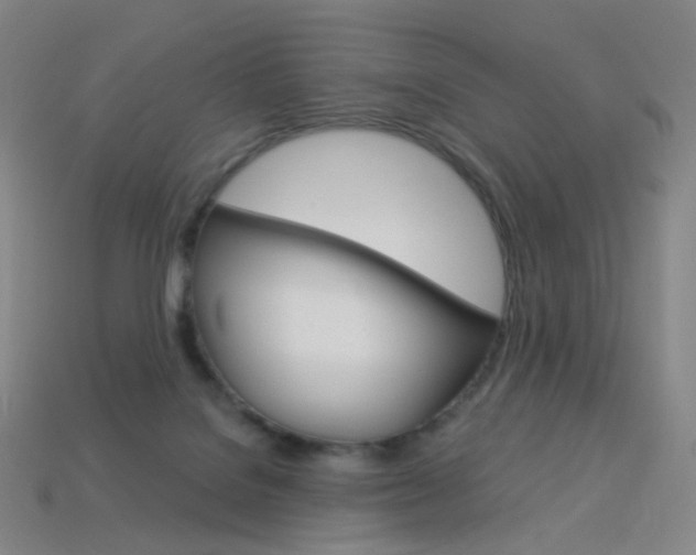 X0000114000076200910021039