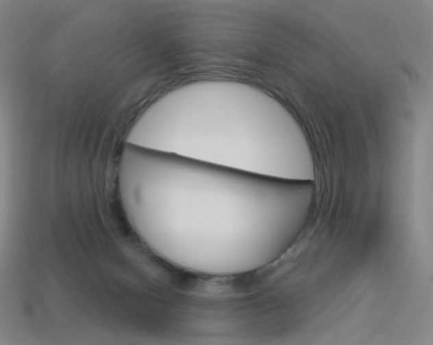 X0000114000078200910021039