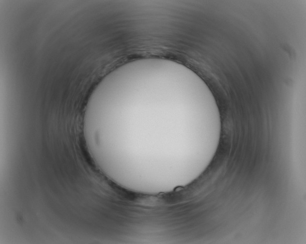 X0000114000079200910021039