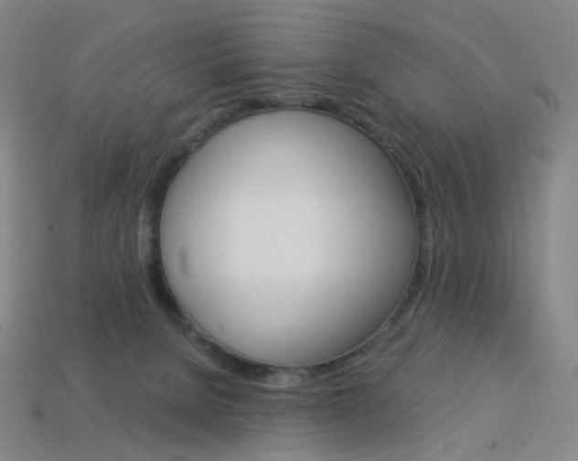 X0000114000080200910021039