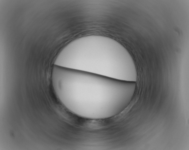 X0000114000082200910021039