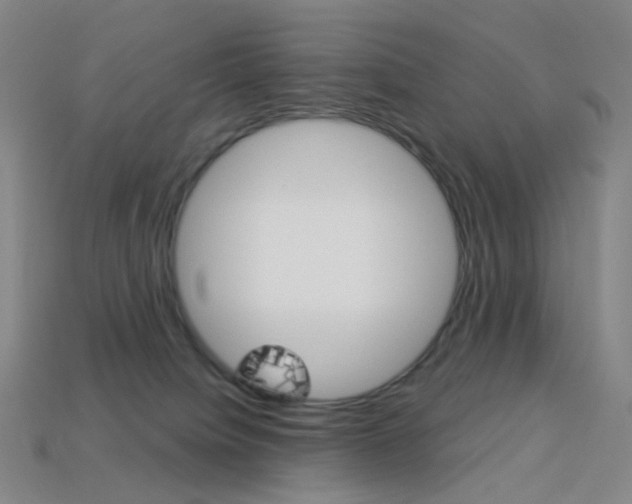 X0000114000084200910021039