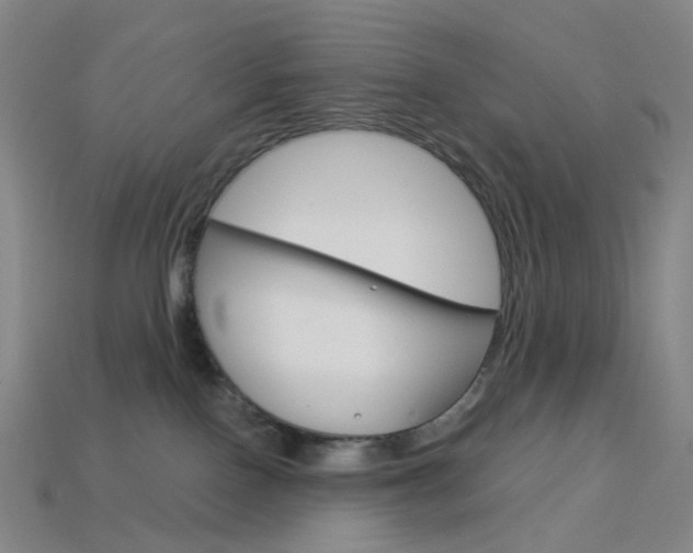 X0000114000090200910021039
