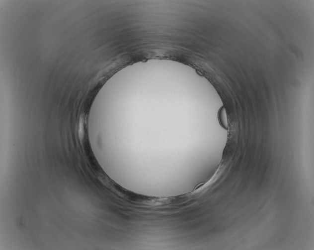 X0000114000094200910021039