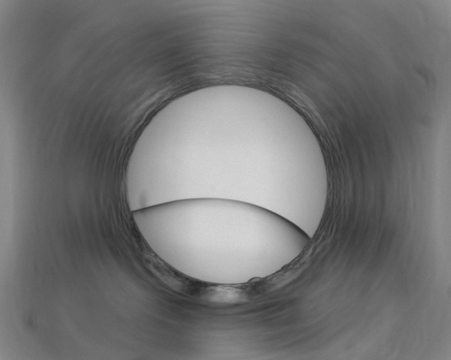 X0000114000095200910021039
