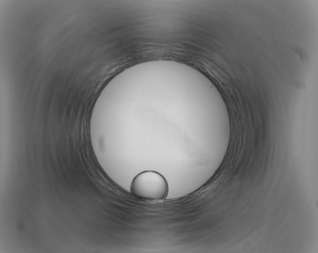 X0000114000096200910021040