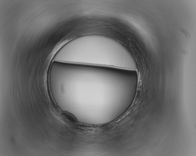 X0000114000099200910021039