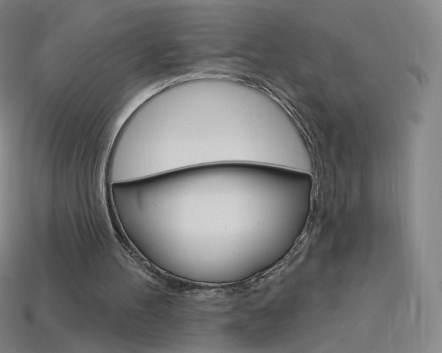 X0000114000100200910021039