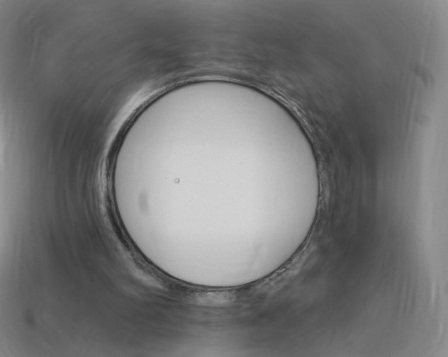 X0000114000102200910021039