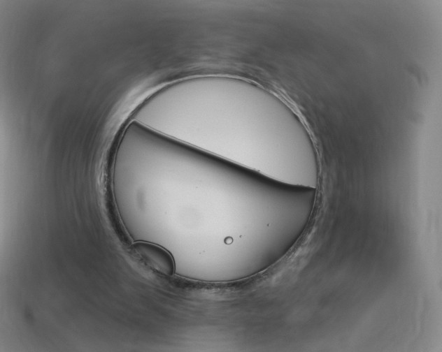 X0000114000103200910021039