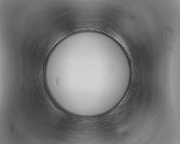 X0000114000105200910021039
